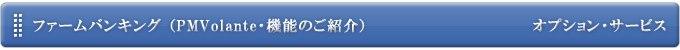 ファームバンキング（PMVolante・機能のご紹介）オプションサービス